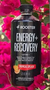 [2800.00] Rooster Energy Recovery Tropical Splash  600mL