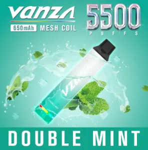 [7000.00] Vanza Double Mint 5500 puffs